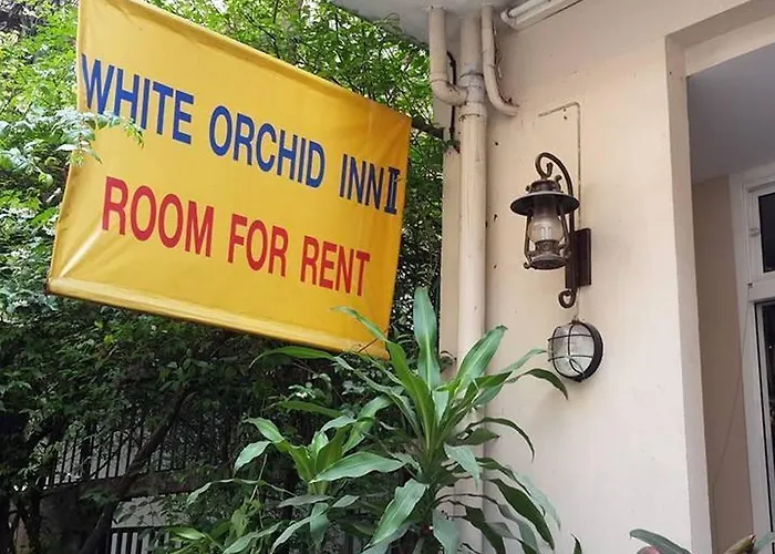 White Orchid Ii